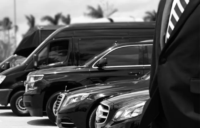 Sakarya İstanbul VIP Transfer